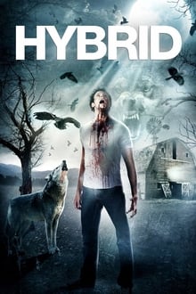 Download Hybrid (2007) Dual Audio (Hindi-English) 720p [830MB]