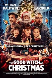 Download The Good Witch of Christmas (2022) {English With Subtitles} Web-DL 480p [250MB] || 720p [600MB] || 1080p [1.5GB]