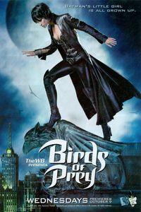 Download Birds of Prey Season 1 (English Audio) Esubs WeB-DL 720p [350MB] || 1080p [850MB]