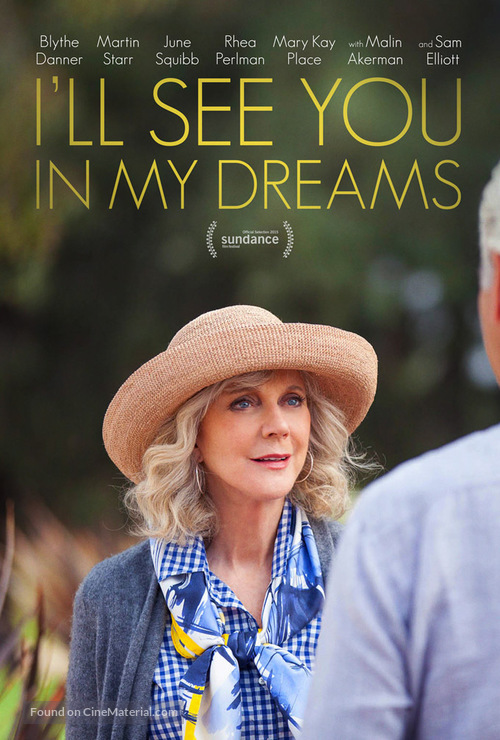 Download I’ll See You in My Dreams (2015) Dual Audio (Hindi-English) Bluray 480p [315MB] || 720p [865MB] || 1080p [2GB]