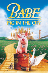 Download Babe Pig In The City (1998) Dual Audio {Hindi-English} Esubs BluRay 480p [323MB] || 720p [911MB] || 1080p [1.9GB]