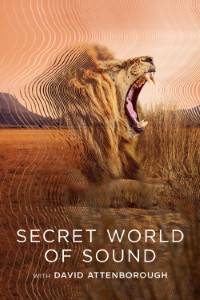 Download Secret World of Sound with David Attenborough (Season 1) Dual Audio {Hindi-English} WeB-DL 720p [400MB] || 1080p [2.1GB]