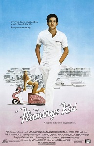 Download The Flamingo Kid (1984) {English With Subtitles} 480p [500MB] || 720p [999MB] || 1080p [3GB]